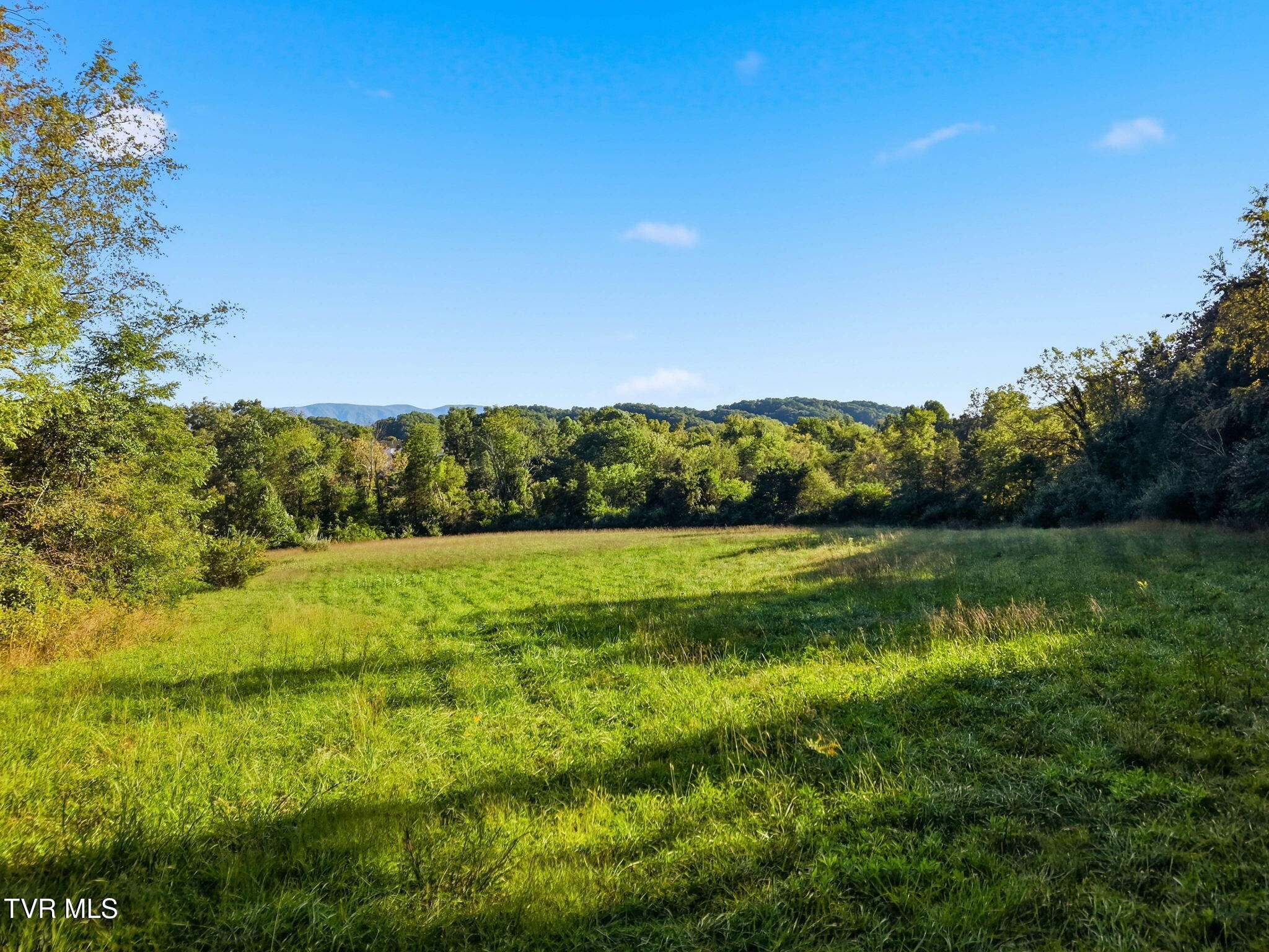 200 Trammel Road Bristol, TN 37620 - Photo 124 of 151 124-web-or-mls-200 Trammel Rd-106