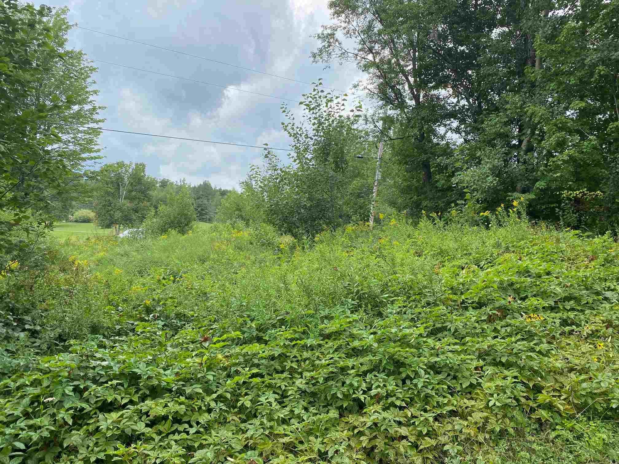 1102 Kennison Road Westfield, VT 05874 - Photo 3 of 19