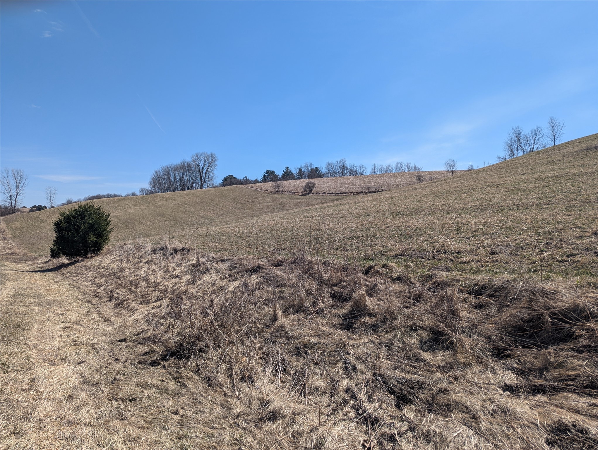1310 Valley Estates Road Mondovi, WI 54755 - Photo 2 of 10