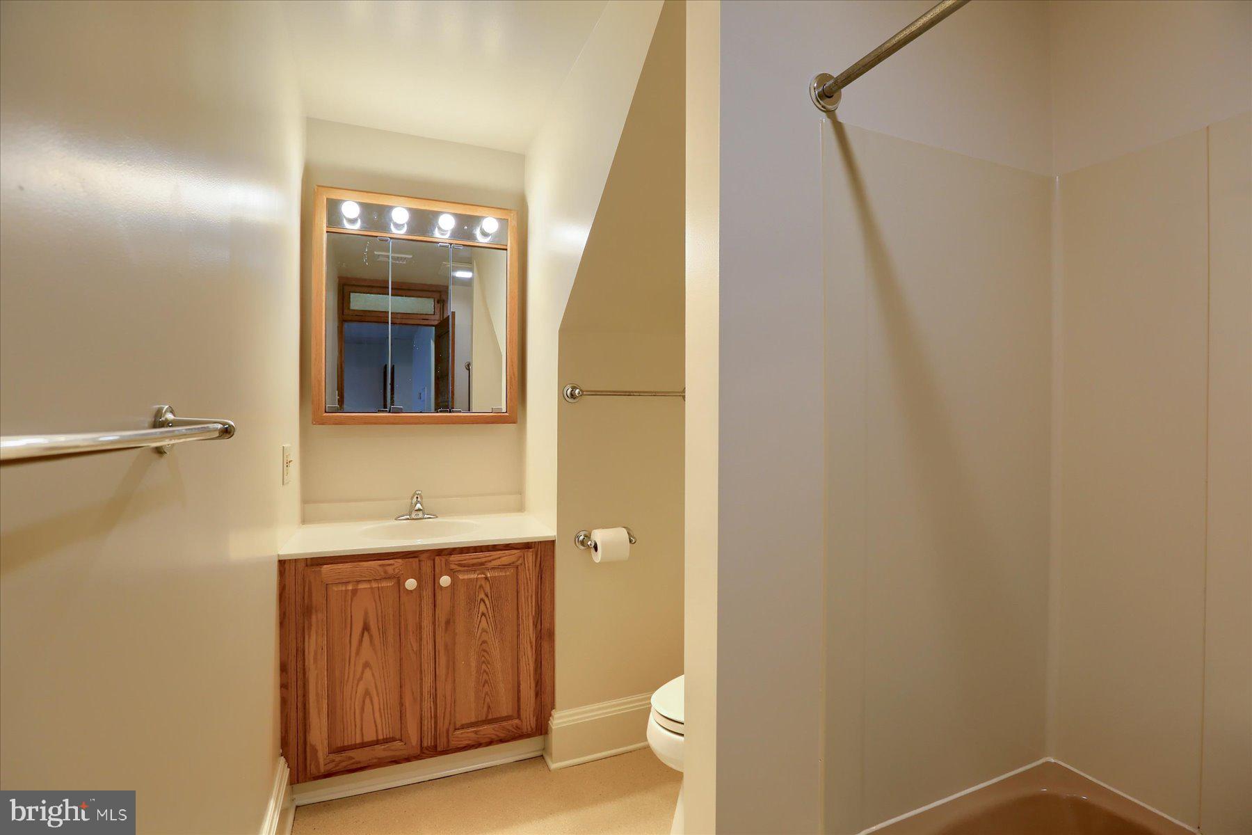 50 East Maple Street, Unit 4 Palmyra, PA 17078 - Photo 19 of 22 a bathroom with a sink and a mirror