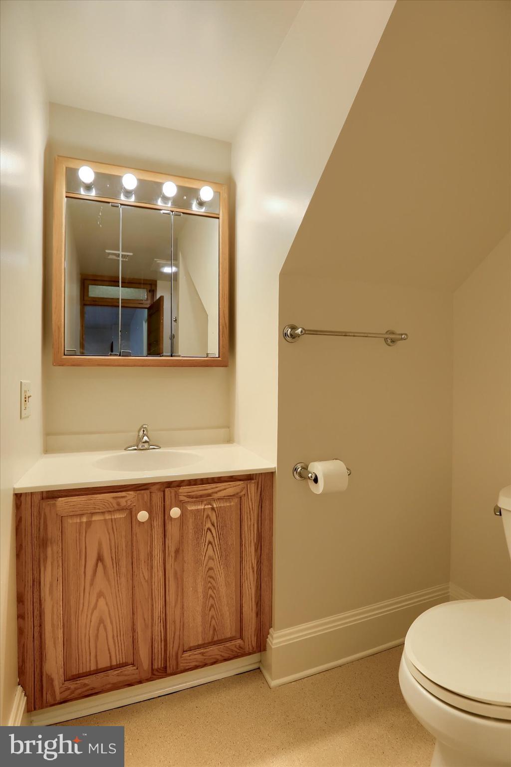 50 East Maple Street, Unit 4 Palmyra, PA 17078 - Photo 20 of 22 a bathroom with a sink a toilet and mirror