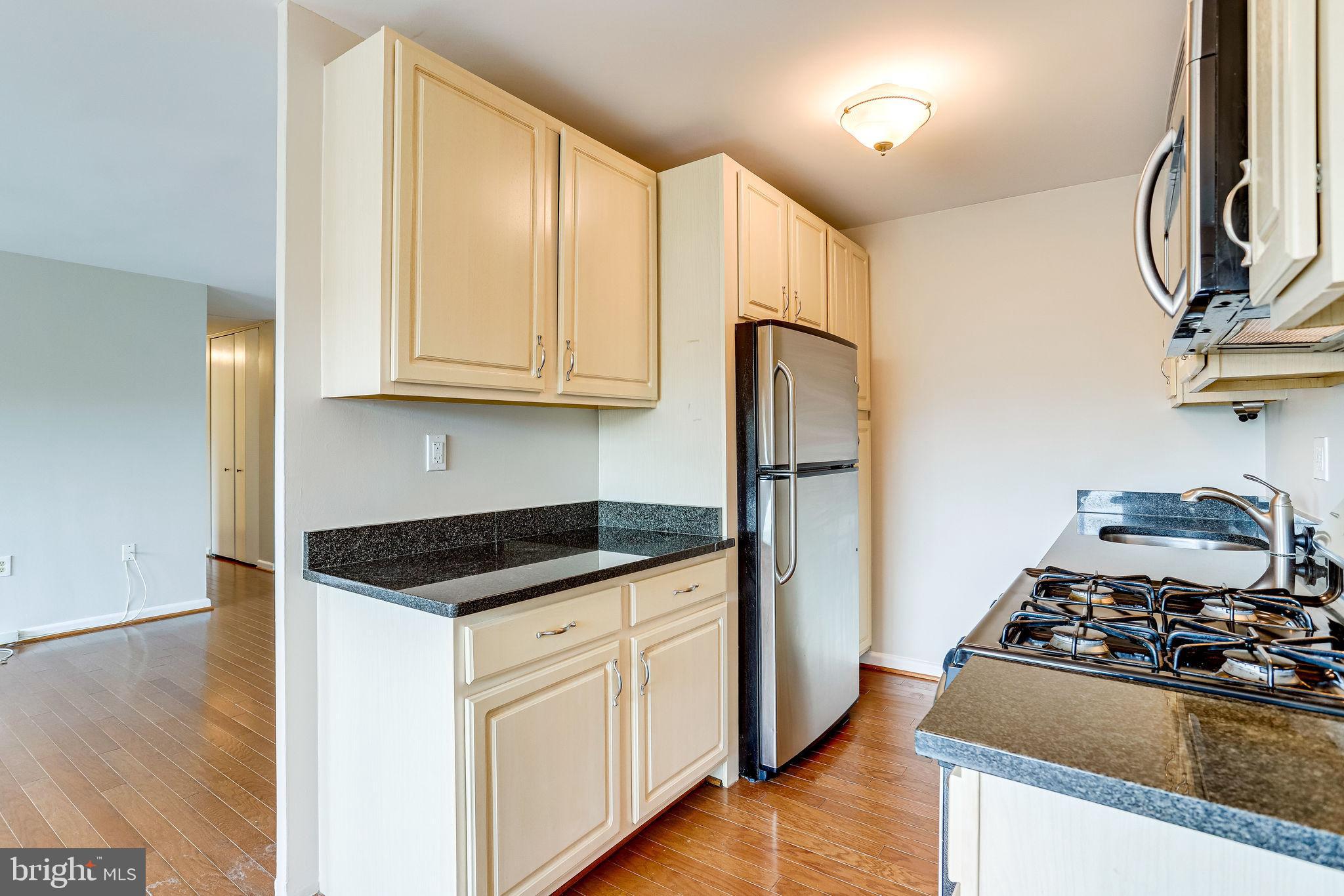 1300 South Arlington Ridge Road, Unit 302 Arlington, VA 22202 - Photo 3 of 43 Appealing Kitchen