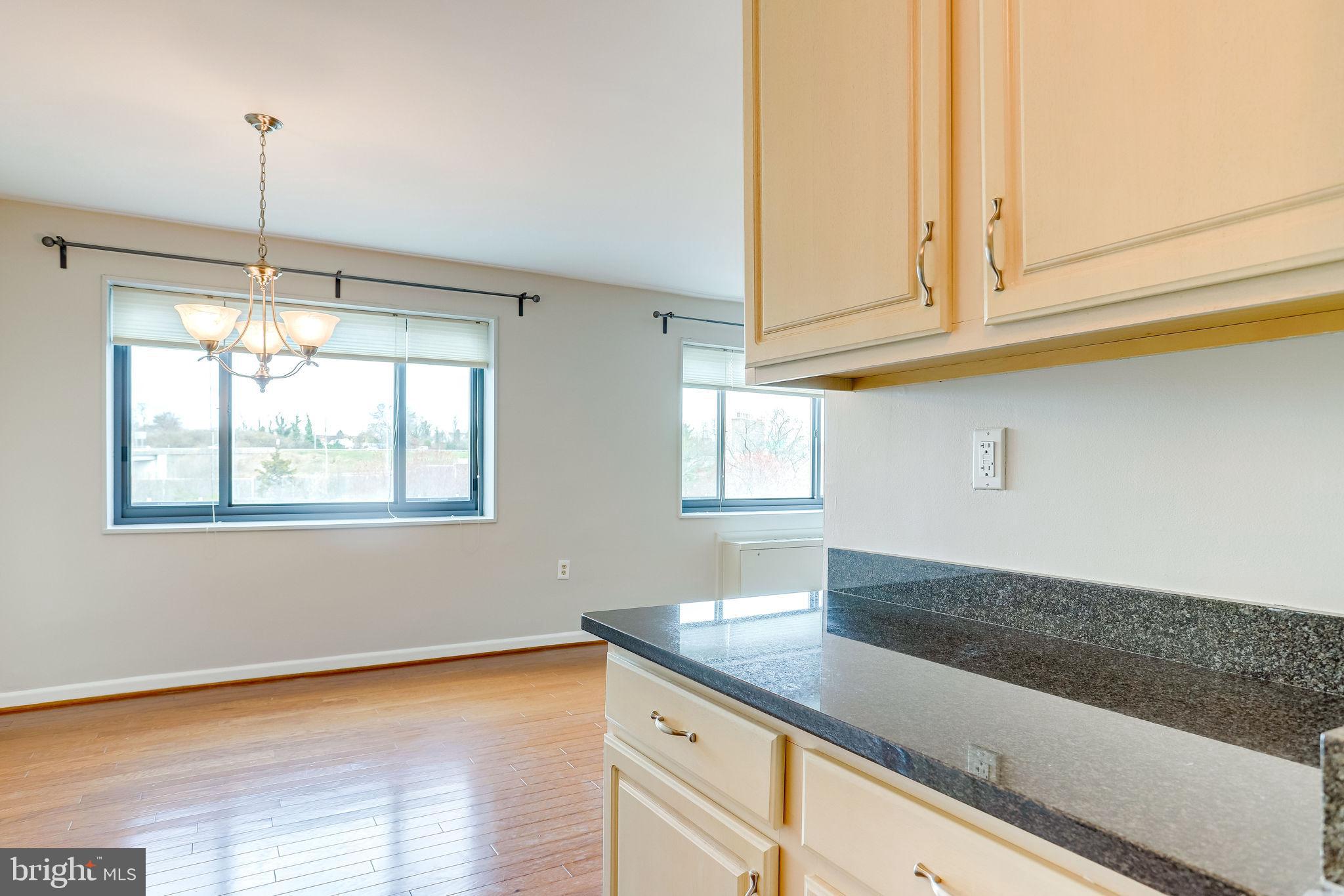 1300 South Arlington Ridge Road, Unit 302 Arlington, VA 22202 - Photo 4 of 43 Good natural light.