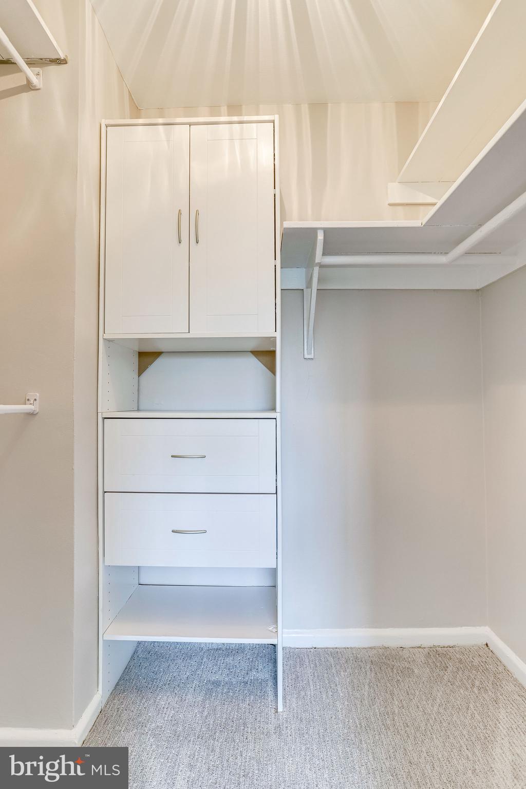 1300 South Arlington Ridge Road, Unit 302 Arlington, VA 22202 - Photo 32 of 43 Custom Closet