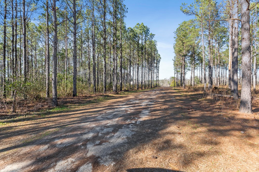 1047 East Smithville Road Dothan, AL 36301 - Photo 15 of 73 Gallery Image 15