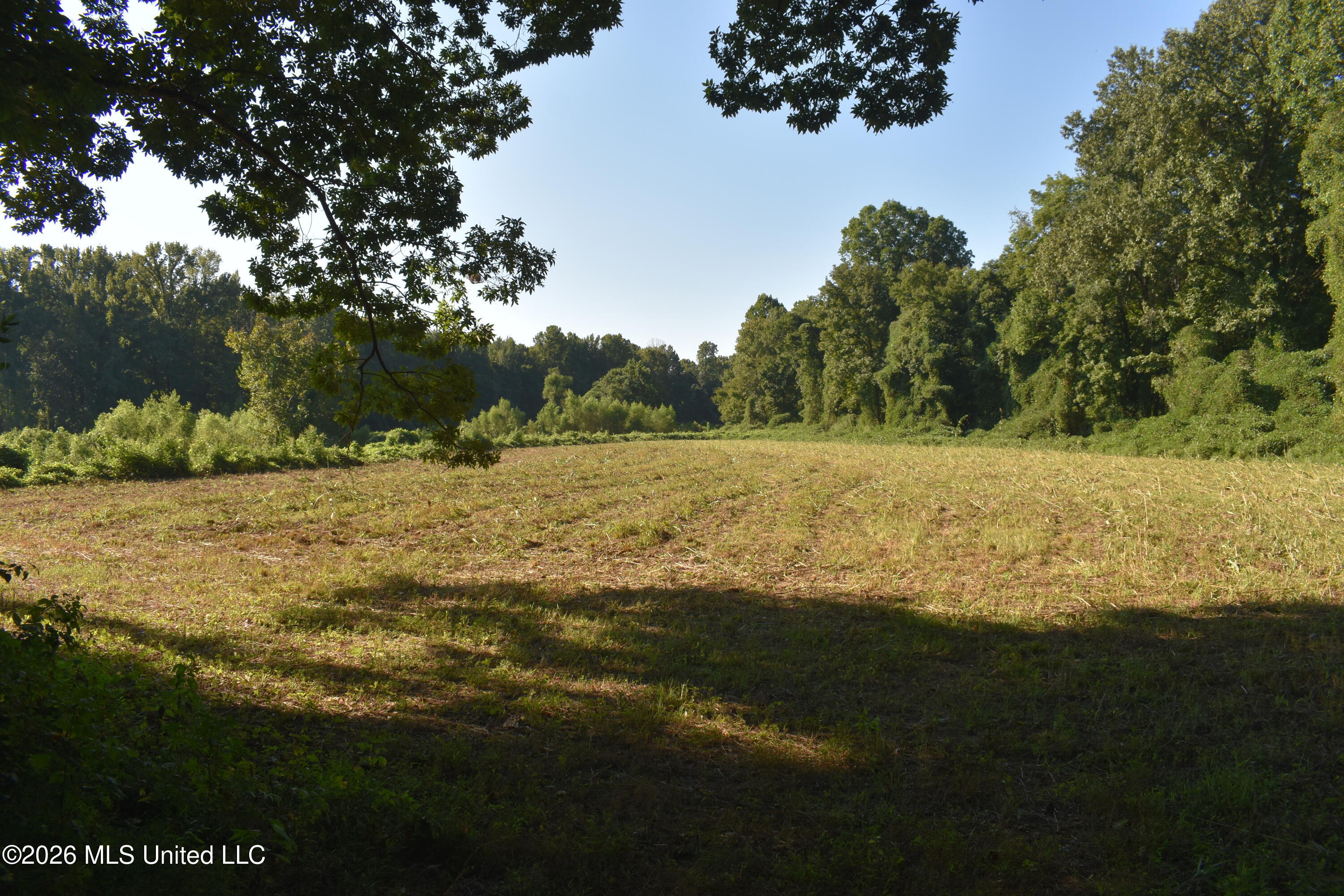 390 Old Panola Road Como, MS 38619 - Photo 14 of 71 DSC_0151