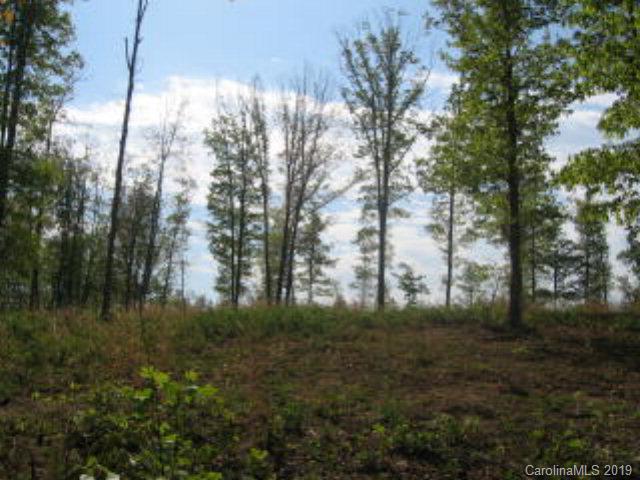 Acreage Mc Peters Road Nebo, NC 28761 - Photo 2 of 9