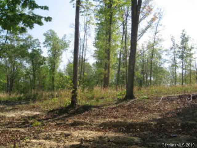 Acreage Mc Peters Road Nebo, NC 28761 - Photo 4 of 9