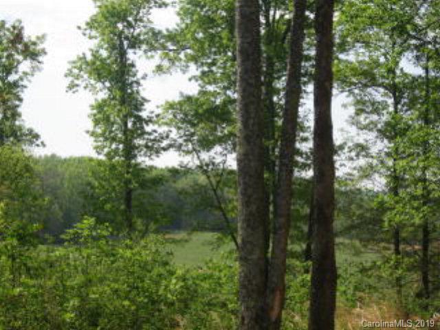 Acreage Mc Peters Road Nebo, NC 28761 - Photo 6 of 9
