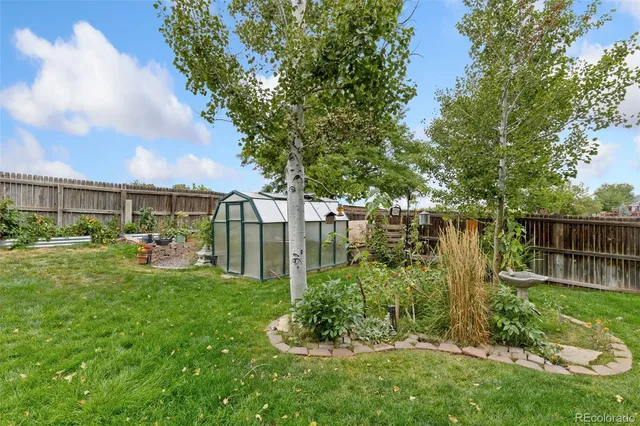 a view of a backyard