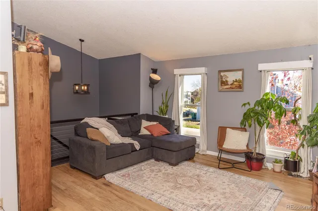 a living room with furniture and a potted plant