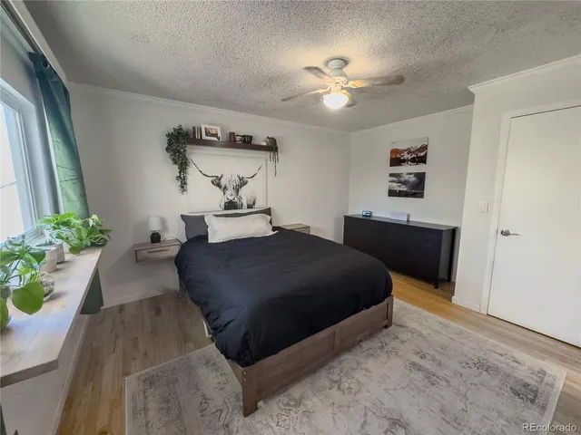a bedroom with a bed lamp and paintings on the wall