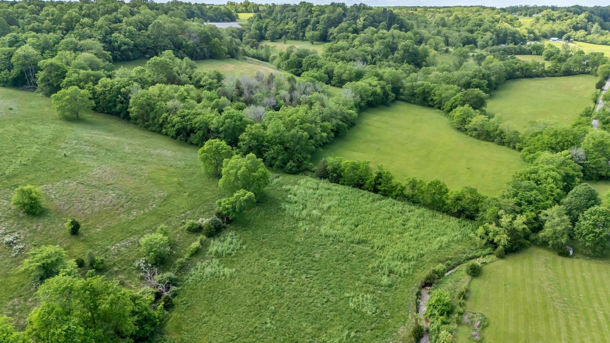 a view of a lush green forest with houses and lake view
