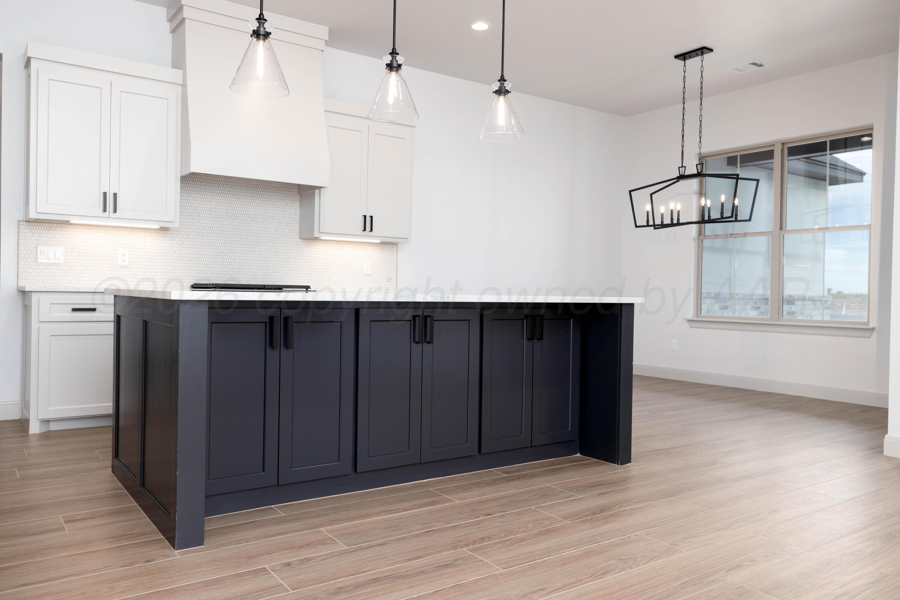 10451 Prickly Pear Road Amarillo, TX 79119 - Photo 5 of 35 10451 Prickly Pear-11