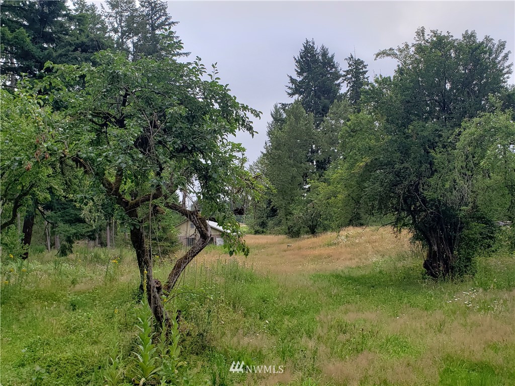 13845 Solberg Road Southeast Yelm, WA 98597 - Photo 8 of 18 Gallery Image 8