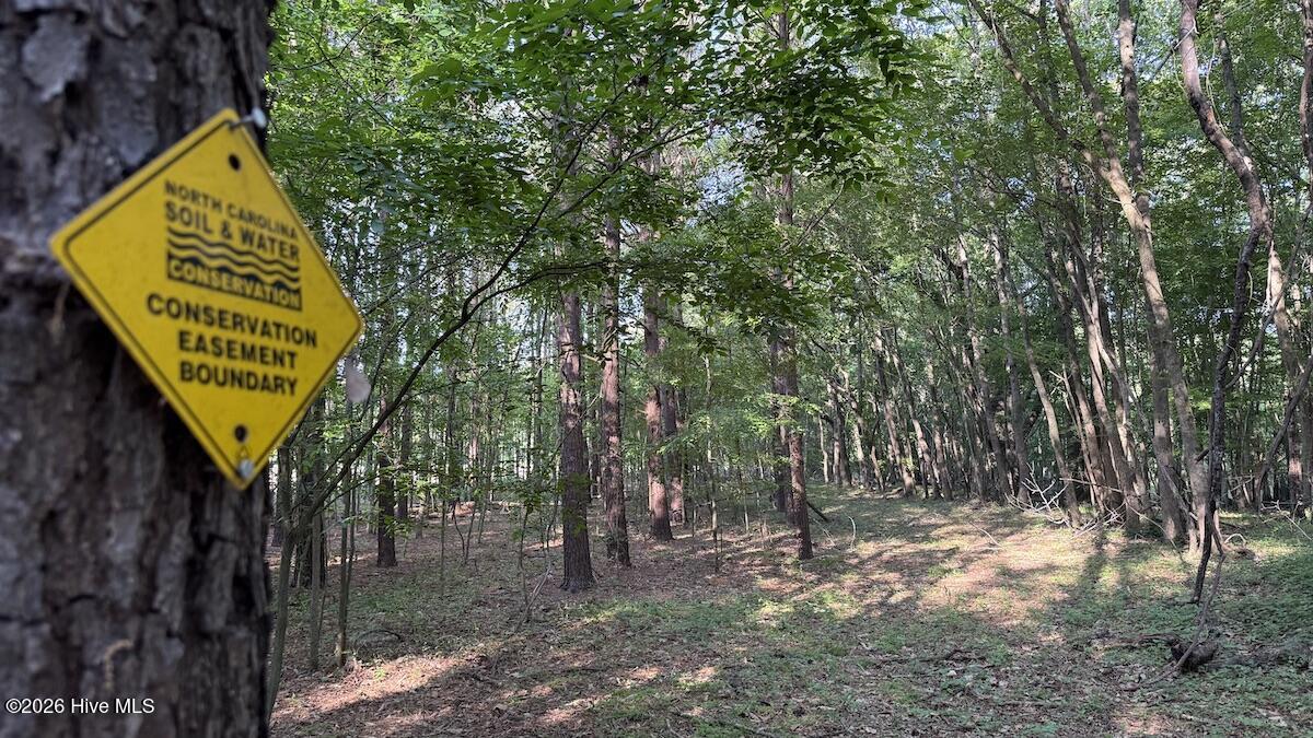 0 Kirkman Road Robersonville, NC 27871 - Photo 29 of 31 15