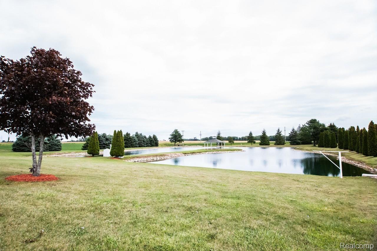 2609 Maple Grove Road Deckerville, MI 48427 - Photo 27 of 31 Pond.jpg
