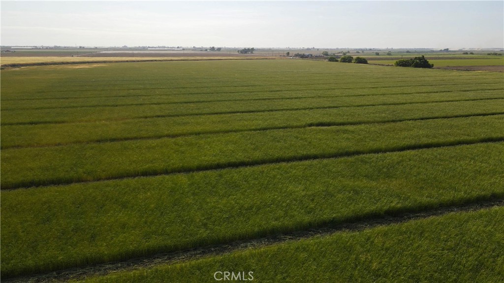 a view of an ocean from a yard