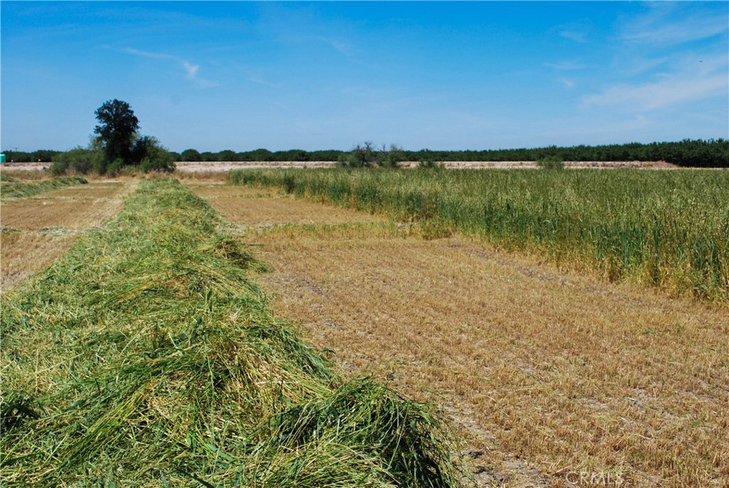 0 Hogin Road Turlock, CA 95380 - Photo 6 of 10 a view of a lake view