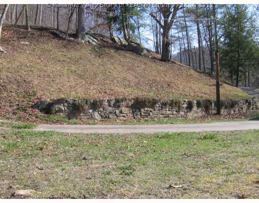 88 Quick Road Elkview, WV 25071 - Photo 7 of 8 Land/Lot.