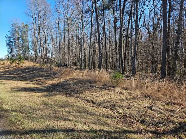 $52,000 | 0 Locust Grove Road, Unit 4, Westfield, NC 27053