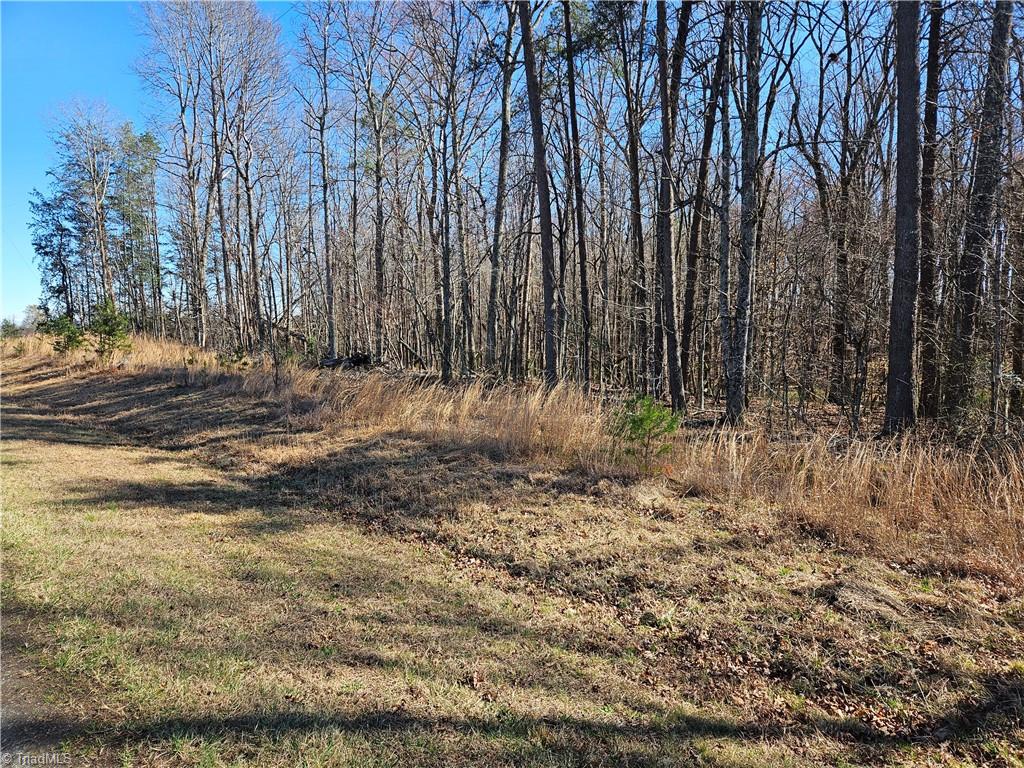 0 Locust Grove Road, Unit 4 Westfield, NC 27053 - Photo 11 of 12