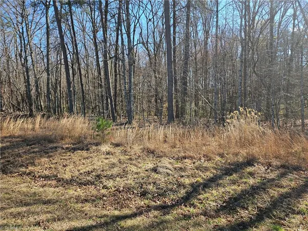 $52,000 | 0 Locust Grove Road, Unit 4, Westfield, NC 27053