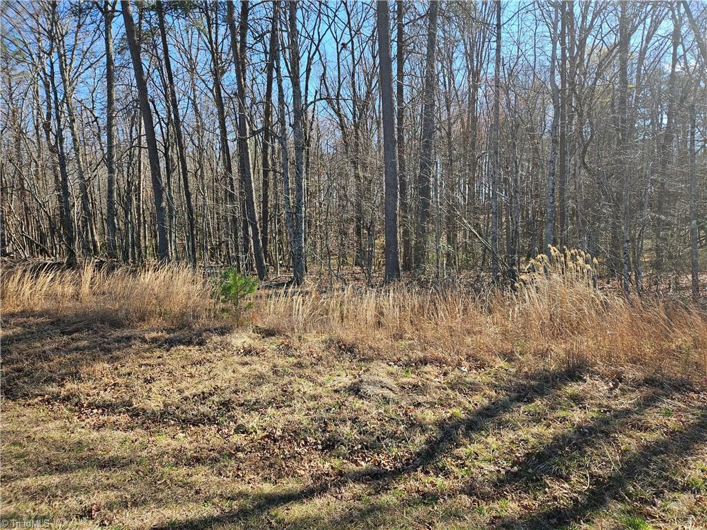 0 Locust Grove Road, Unit 4 Westfield, NC 27053 - Photo 4 of 12