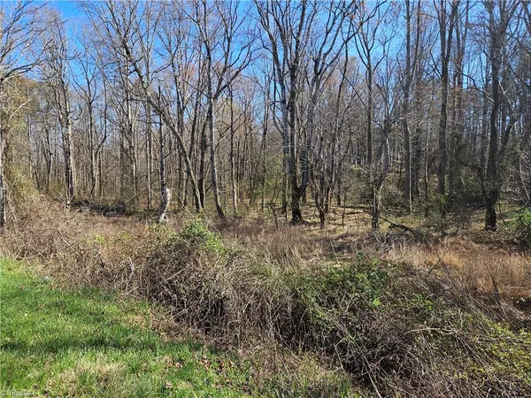 $52,000 | 0 Locust Grove Road, Unit 4, Westfield, NC 27053