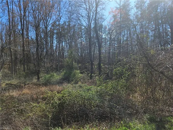 $52,000 | 0 Locust Grove Road, Unit 4, Westfield, NC 27053