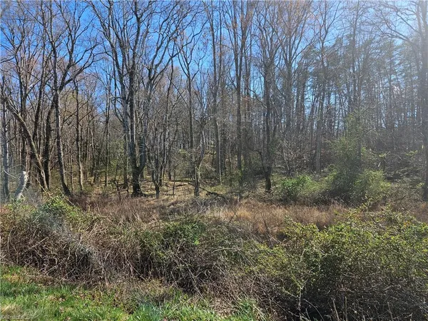 $52,000 | 0 Locust Grove Road, Unit 4, Westfield, NC 27053