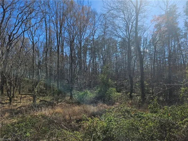 $52,000 | 0 Locust Grove Road, Unit 4, Westfield, NC 27053