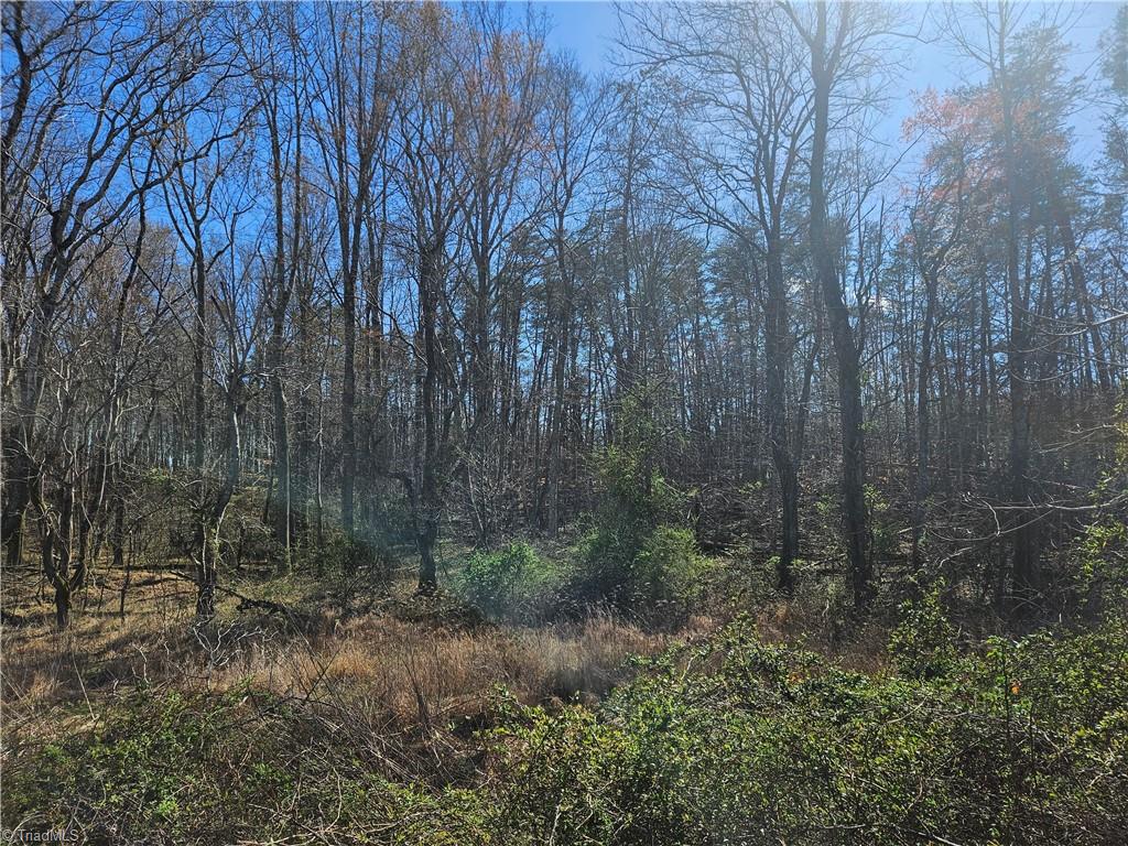 0 Locust Grove Road, Unit 4 Westfield, NC 27053 - Photo 8 of 12