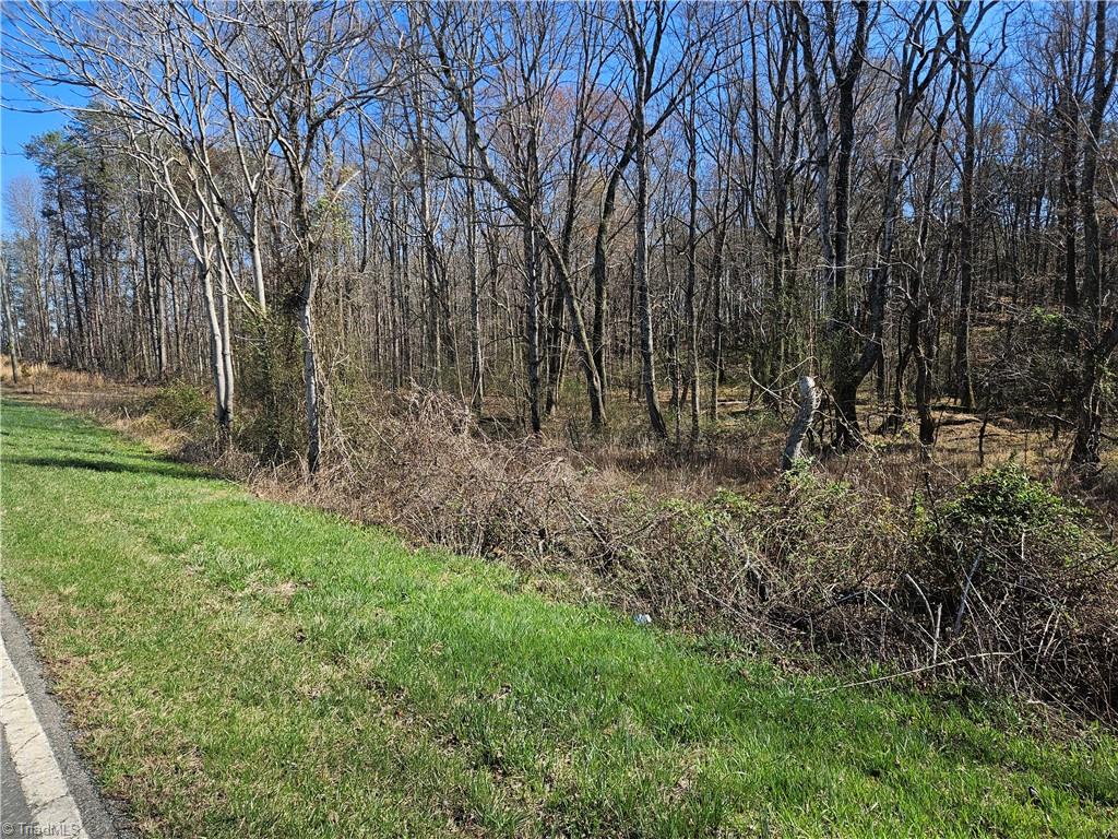 0 Locust Grove Road, Unit 4 Westfield, NC 27053 - Photo 9 of 12
