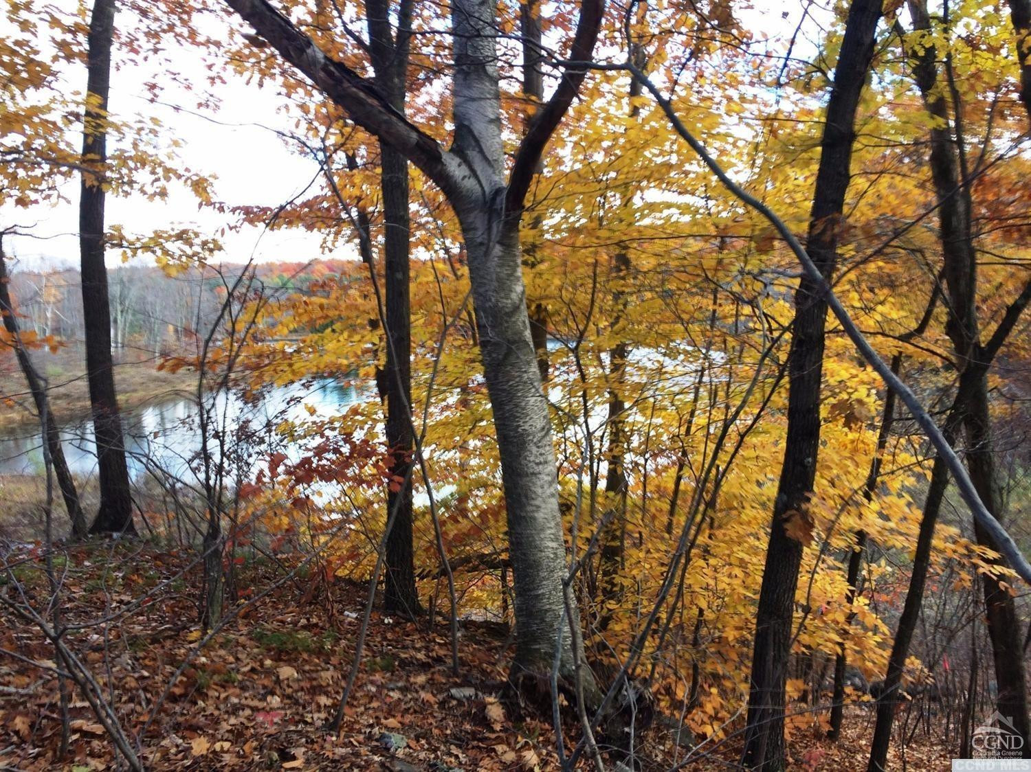 12 Stonegate Off Birch Hill Road Craryville, NY 12521 - Photo 2 of 5 Lot 12