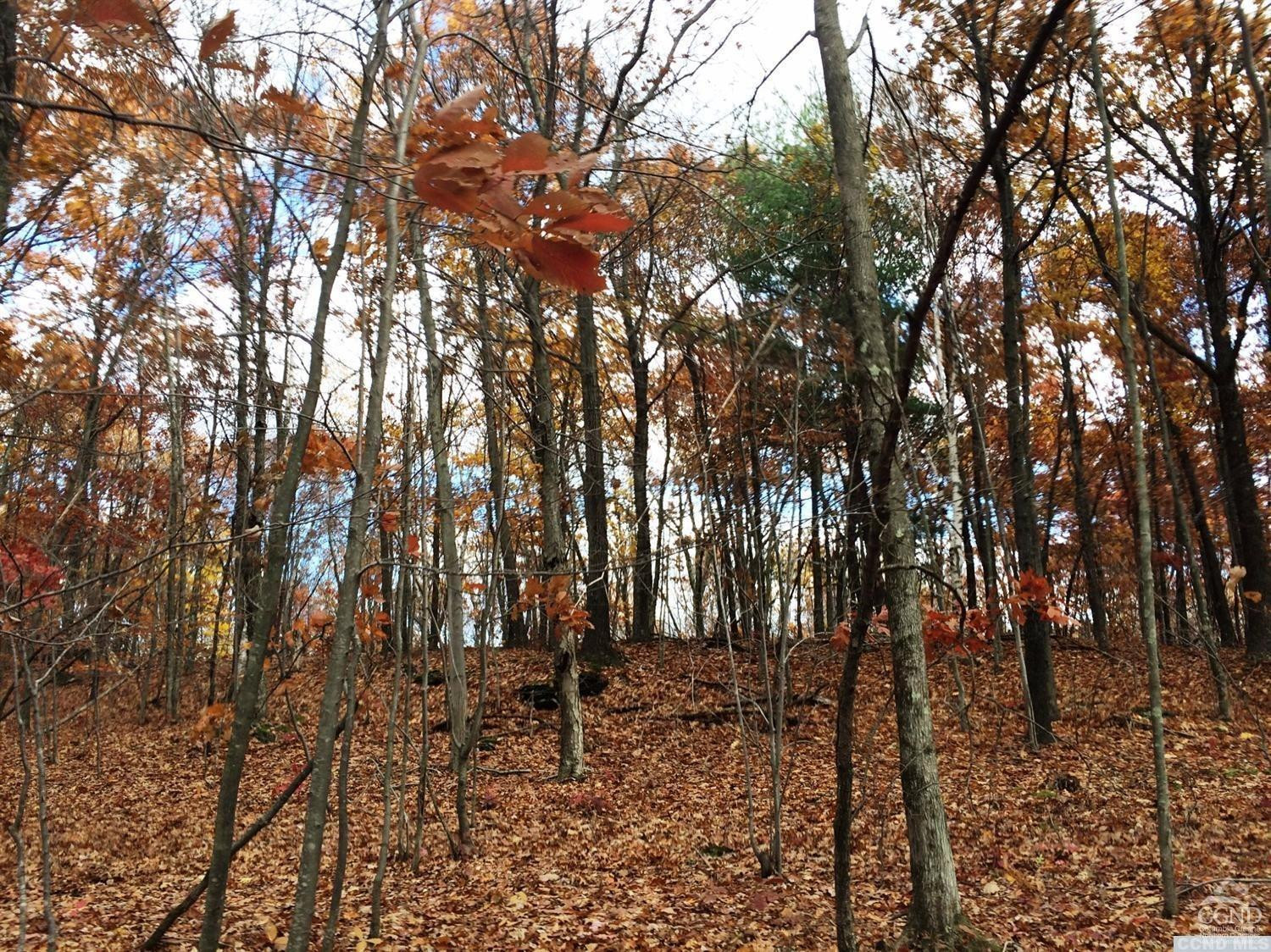 12 Stonegate Off Birch Hill Road Craryville, NY 12521 - Photo 5 of 5 Photo 5