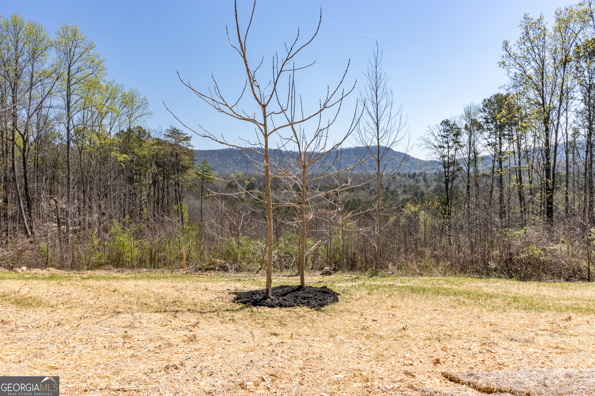 456 North Ridge Estates Trion, GA 30753 - Photo 18 of 25