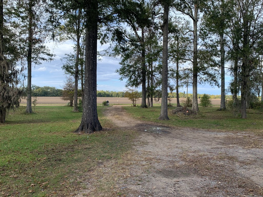 312 Gore Road Jonesville, LA 71343 - Photo 13 of 20 Photo 13