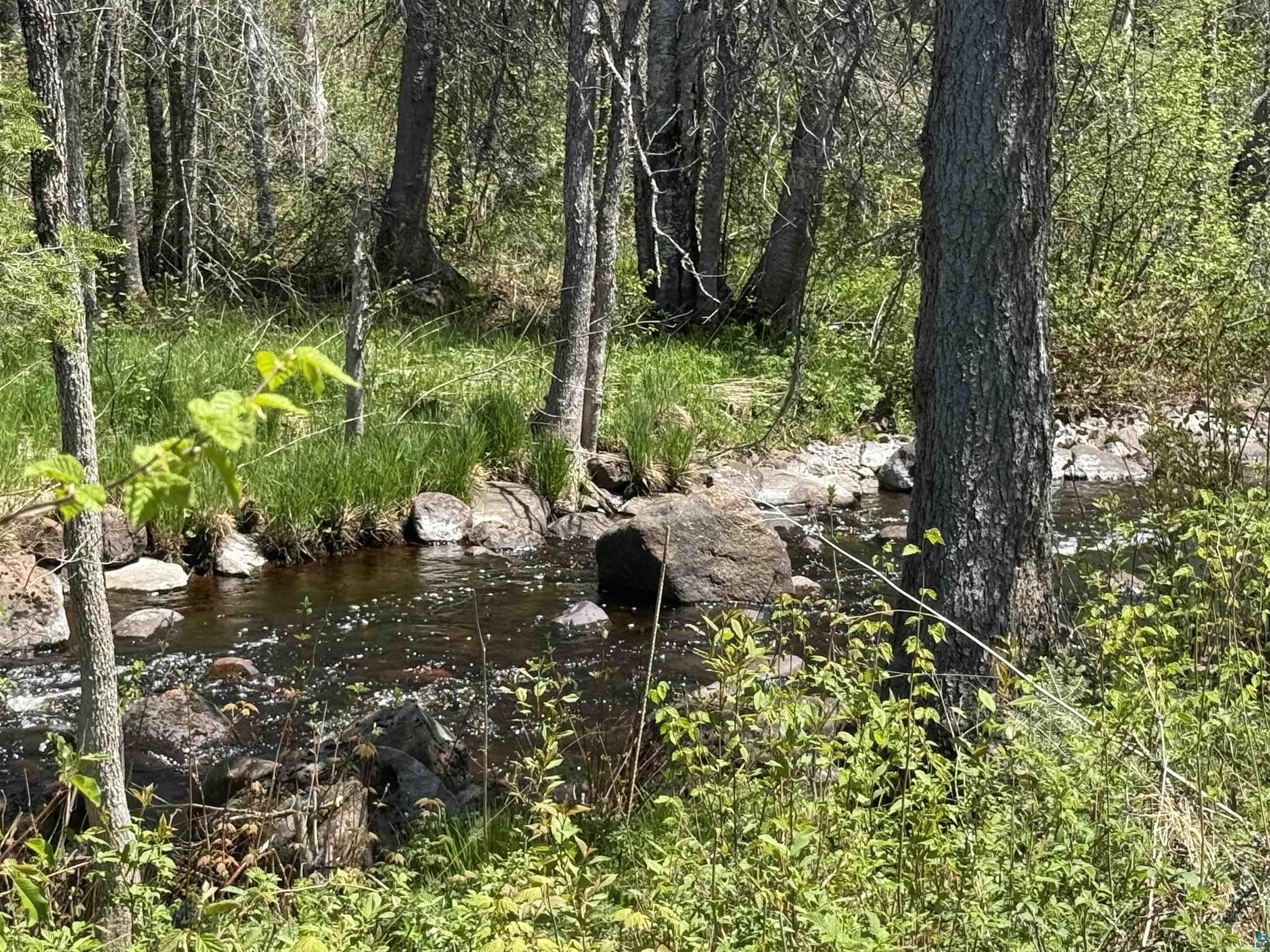 Tbd Crown Creek Road Finland, MN 55603 - Photo 1 of 14 Baptism River