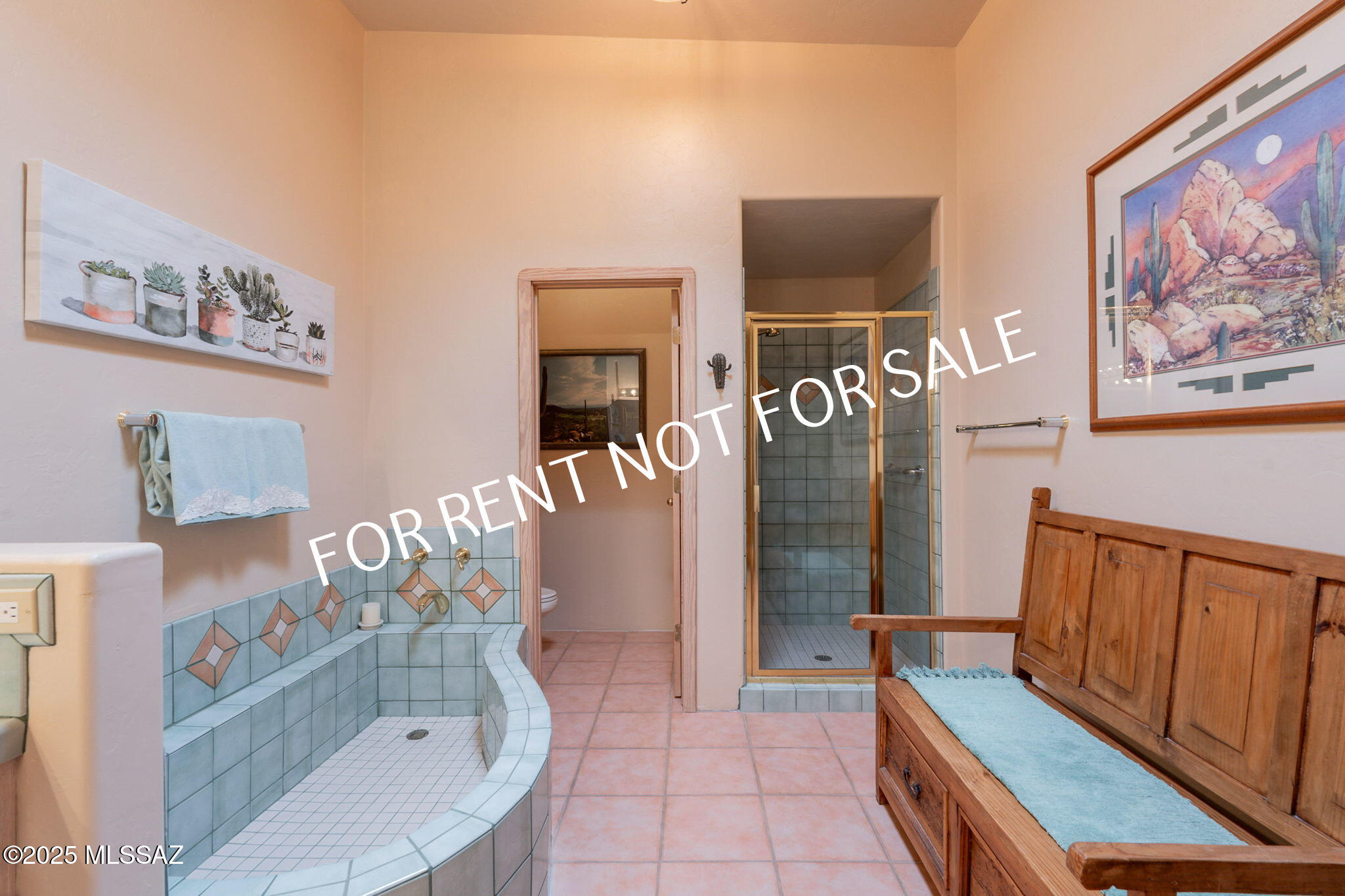 9876 North Ridge Shadow Place Tucson, AZ 85704 - Photo 33 of 48