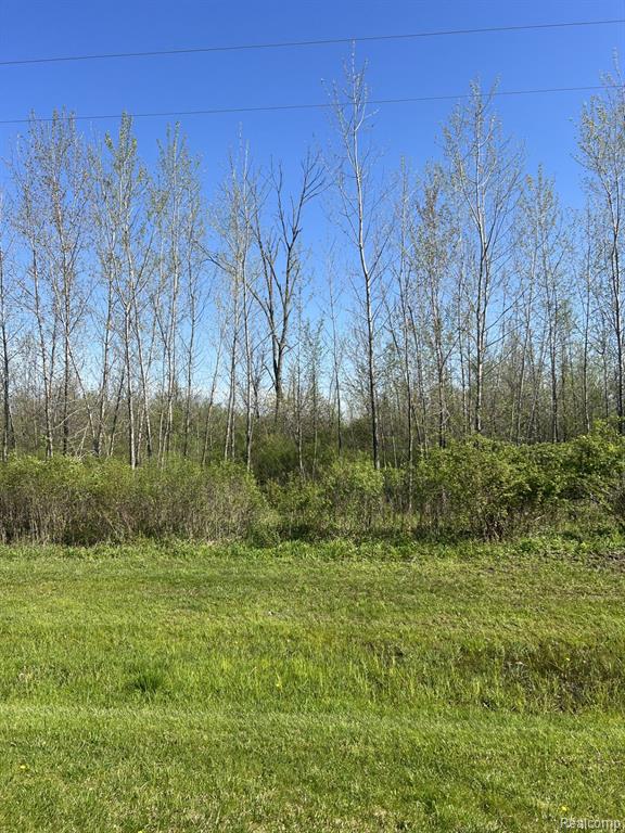 Vl Turtle Lake Road North Branch, MI 48461 - Photo 2 of 3