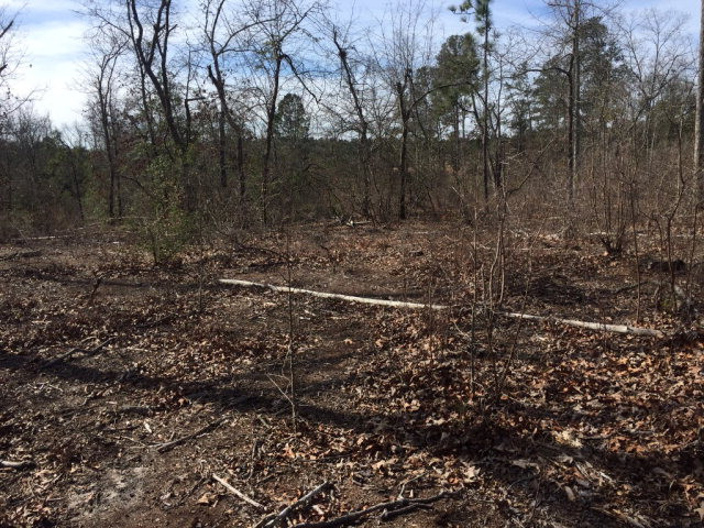 0 Confederate Road Aiken, SC 29801 - Photo 4 of 6