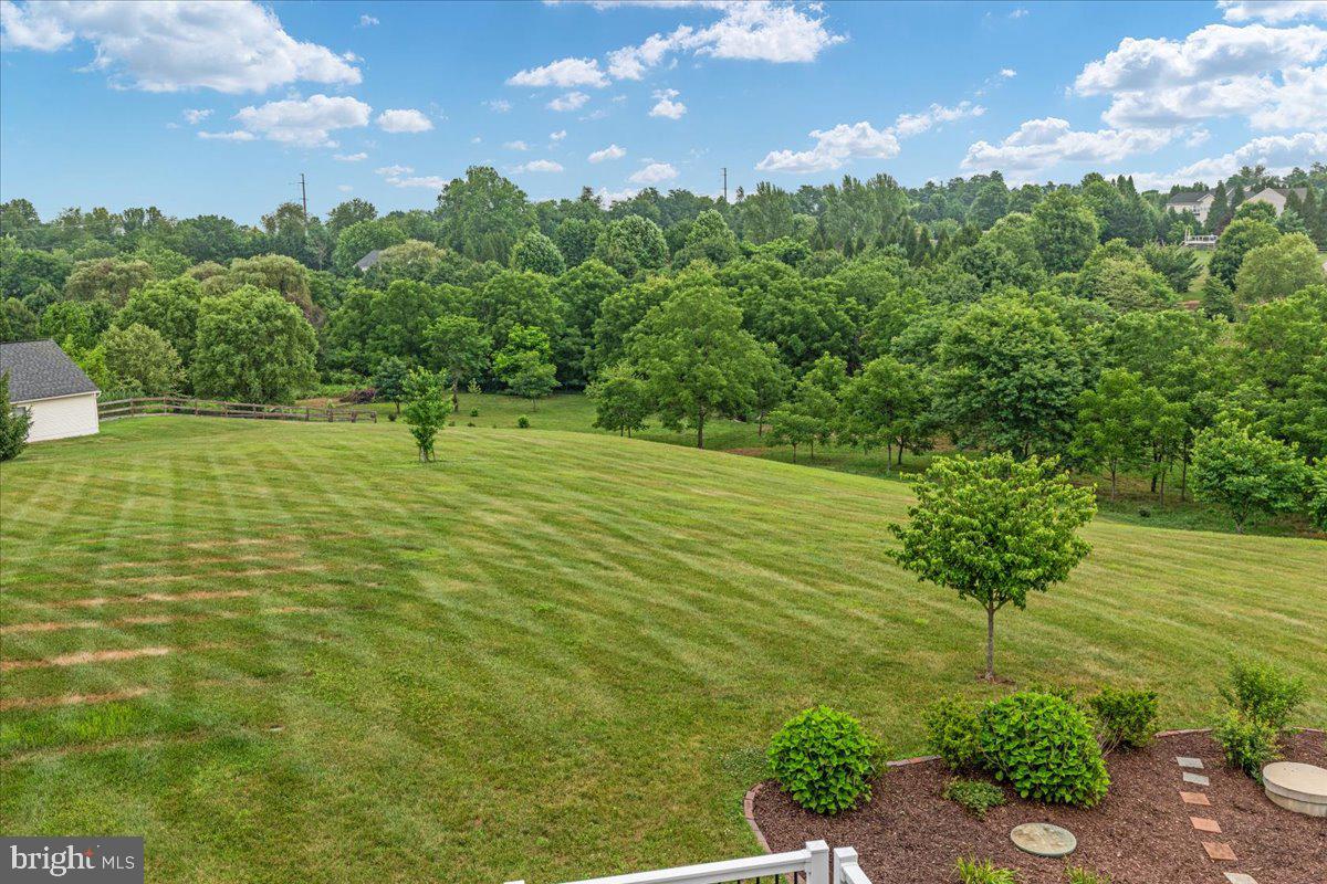 38786 Rambling Farm Drive Hamilton, VA 20158 - Photo 70 of 97
