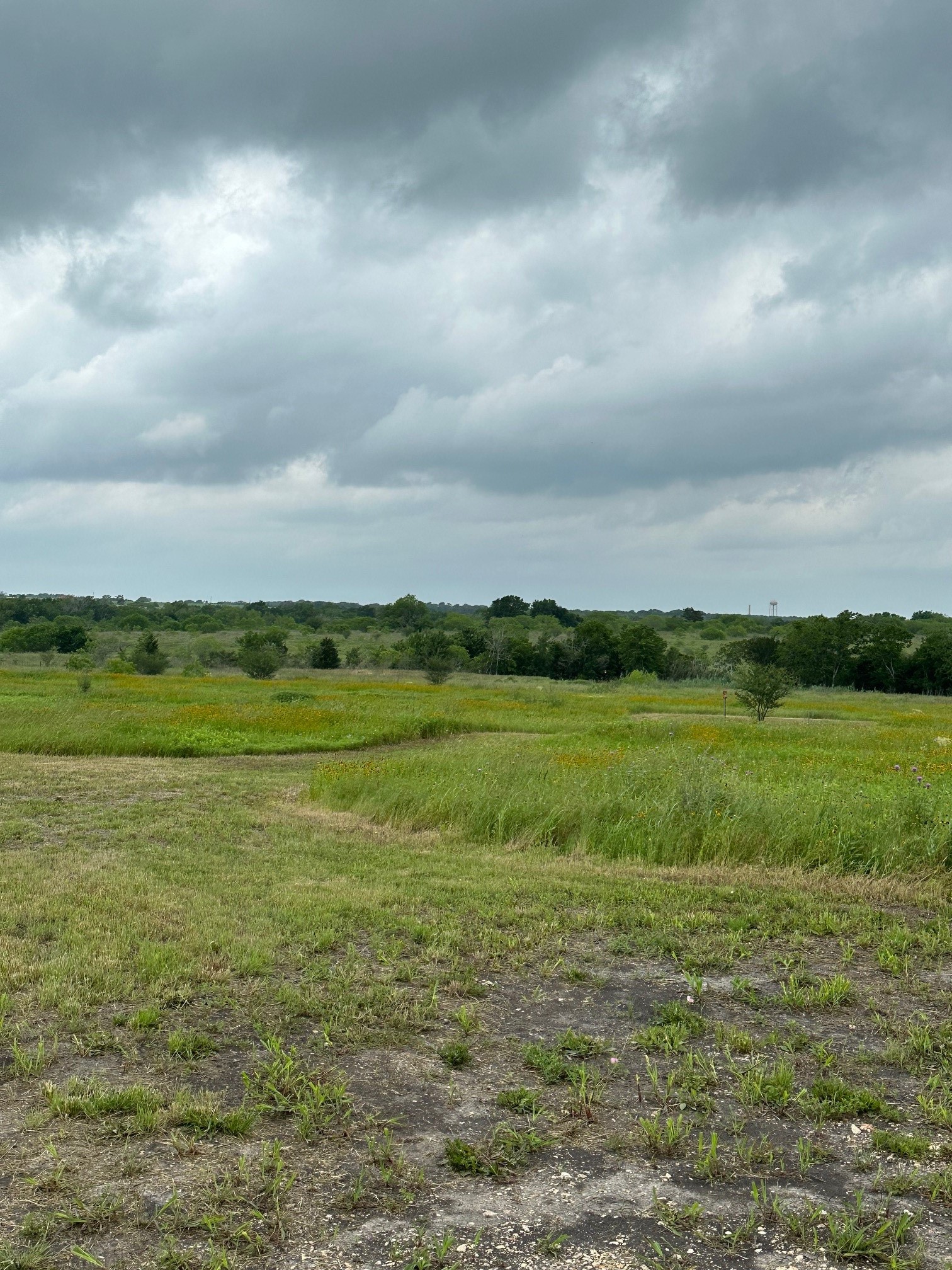 5914 Guettermann Ehler Road Muldoon, TX 78949 - Photo 3 of 12 a view of a field with an ocean