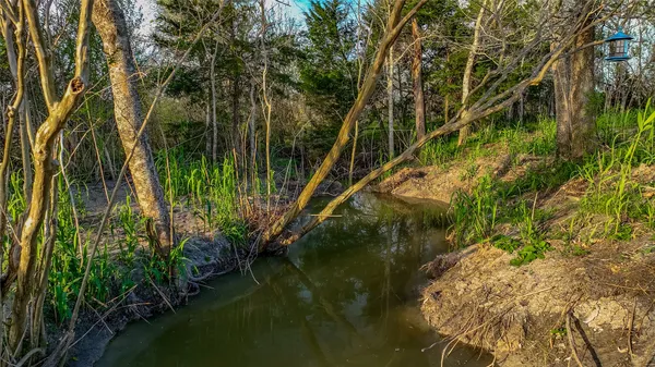 a view of a lake from a yard