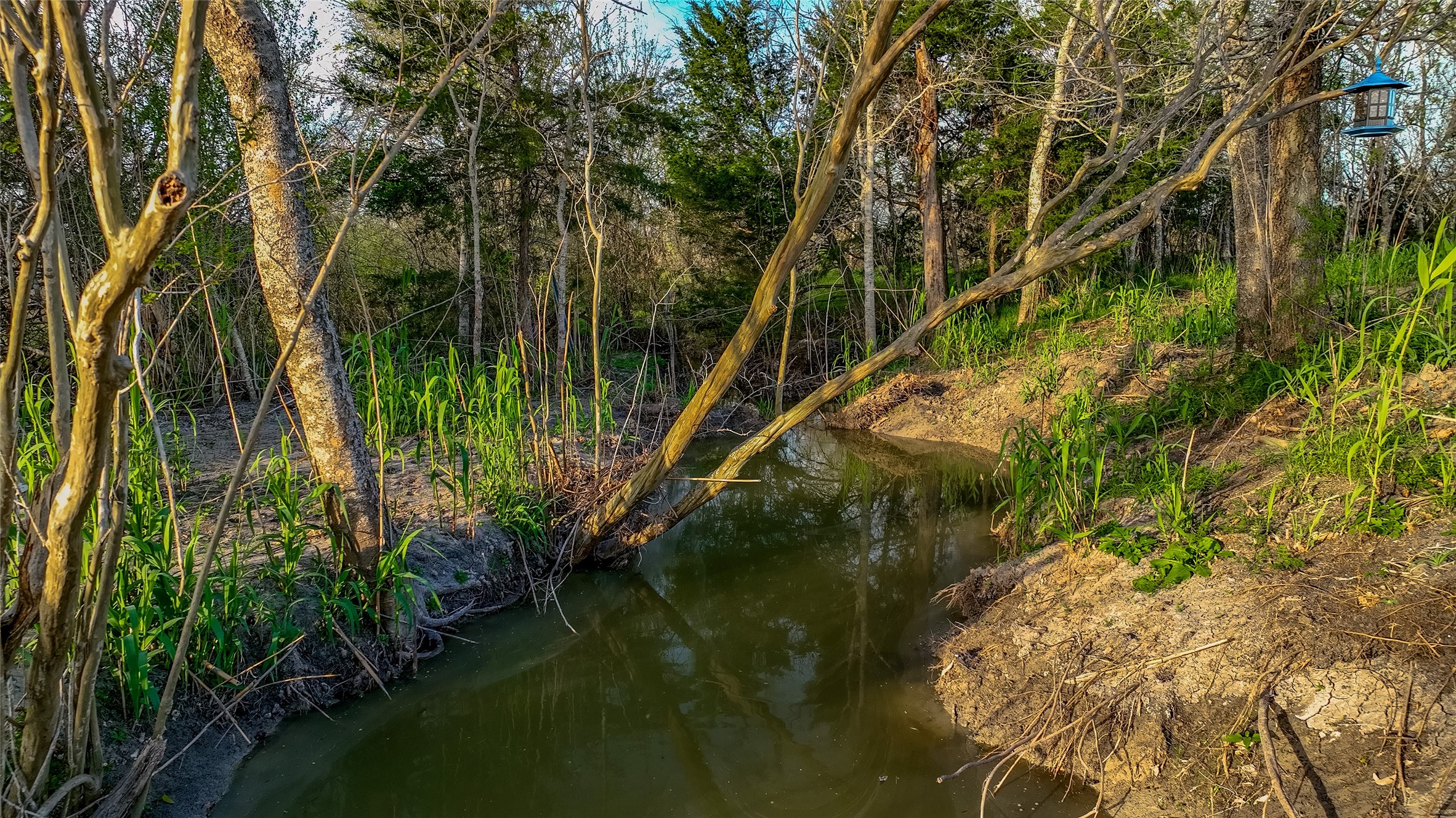 5914 Guettermann Ehler Road Muldoon, TX 78949 - Photo 6 of 12 a view of a lake from a yard