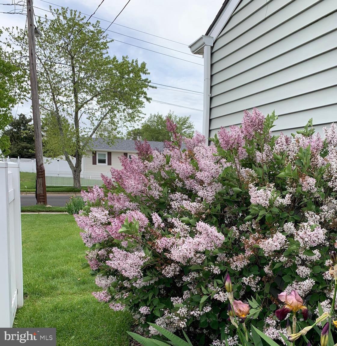 17 Stanford Road Somers Point, NJ 08244 - Photo 19 of 19 Backyard side entrance
