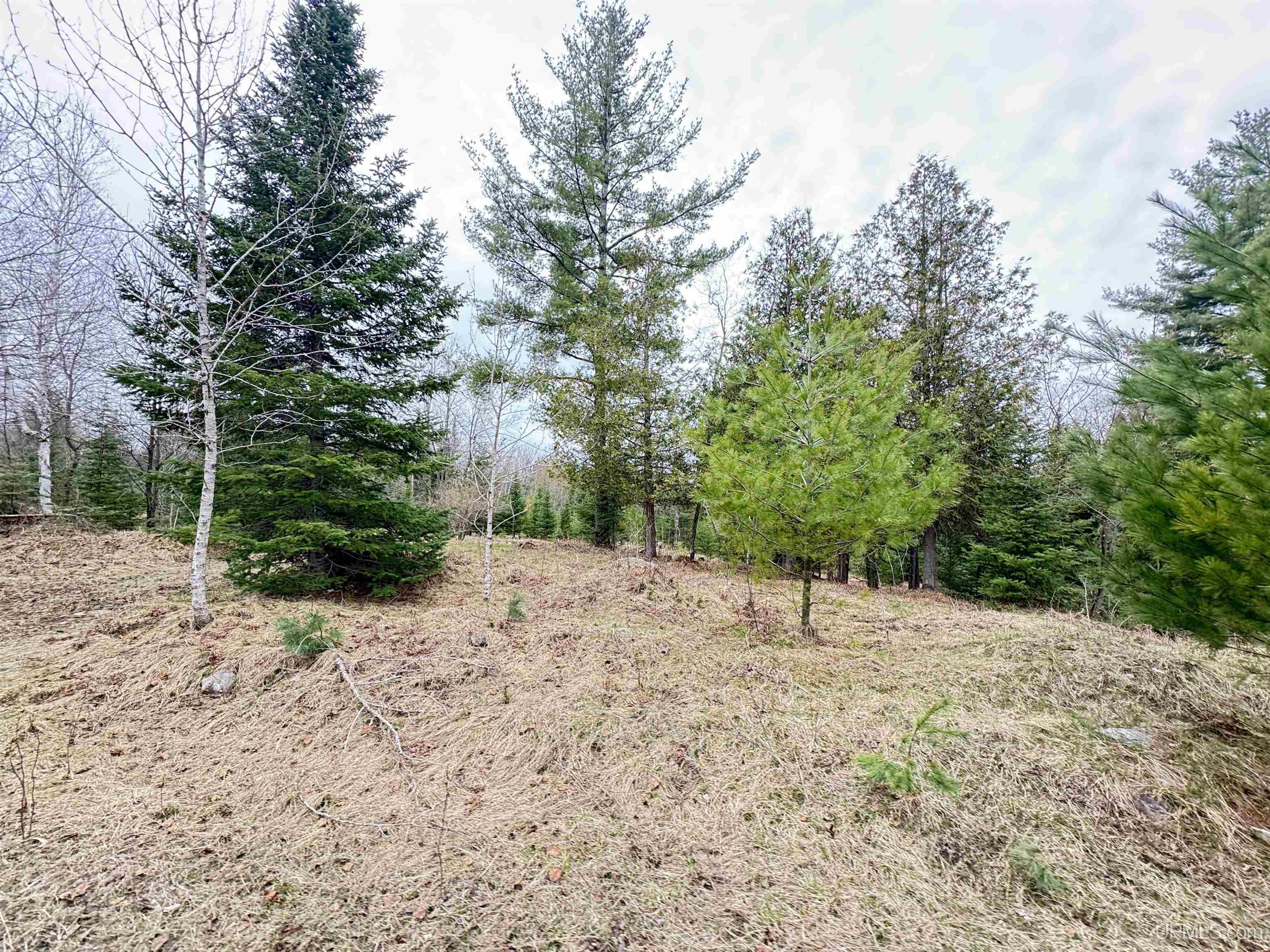 W4777 Lahay Road Daggett, MI 49821 - Photo 45 of 67