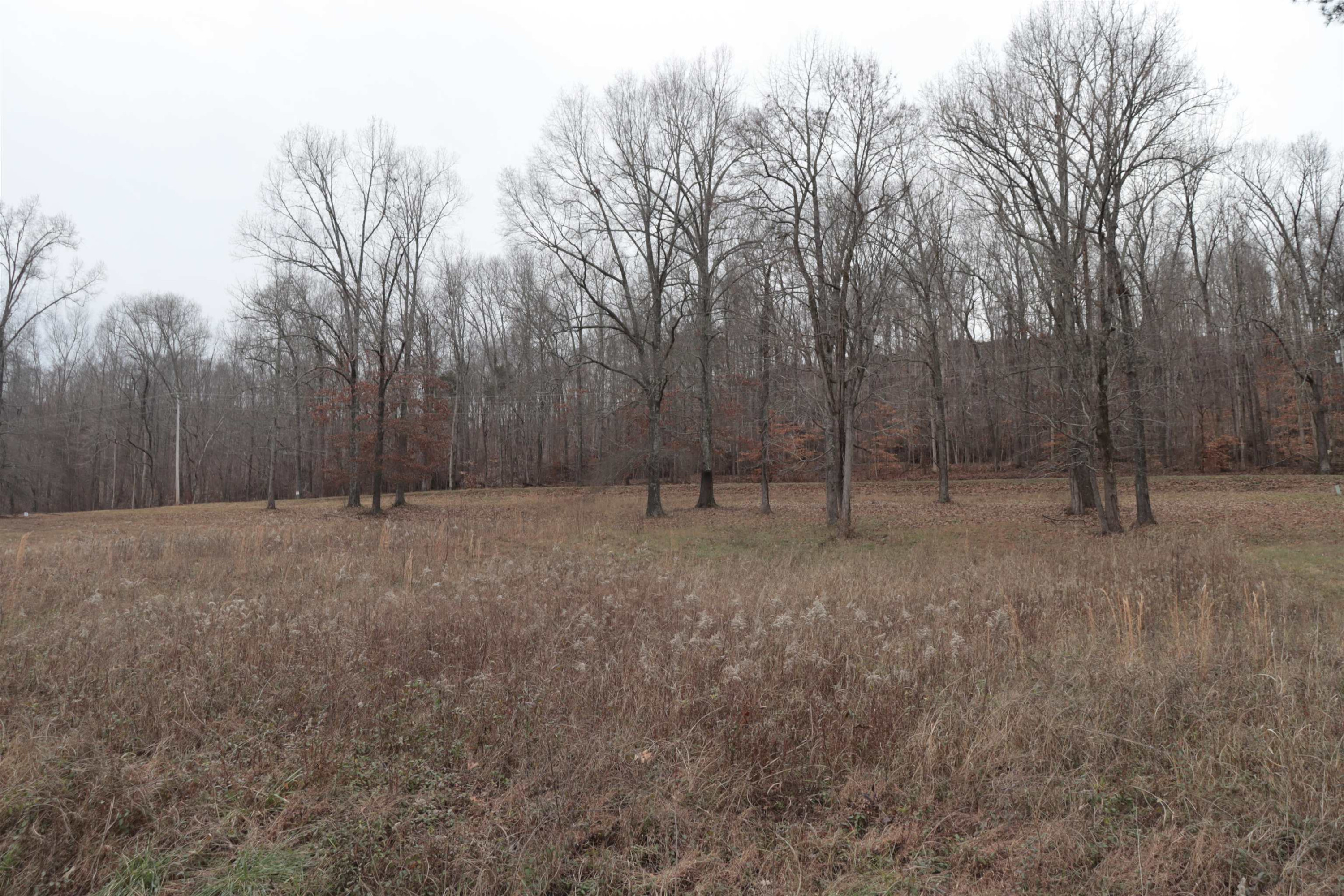 Lot # 5-11 Putt Lane Decaturville, TN 38329 - Photo 1 of 1 Photo 1