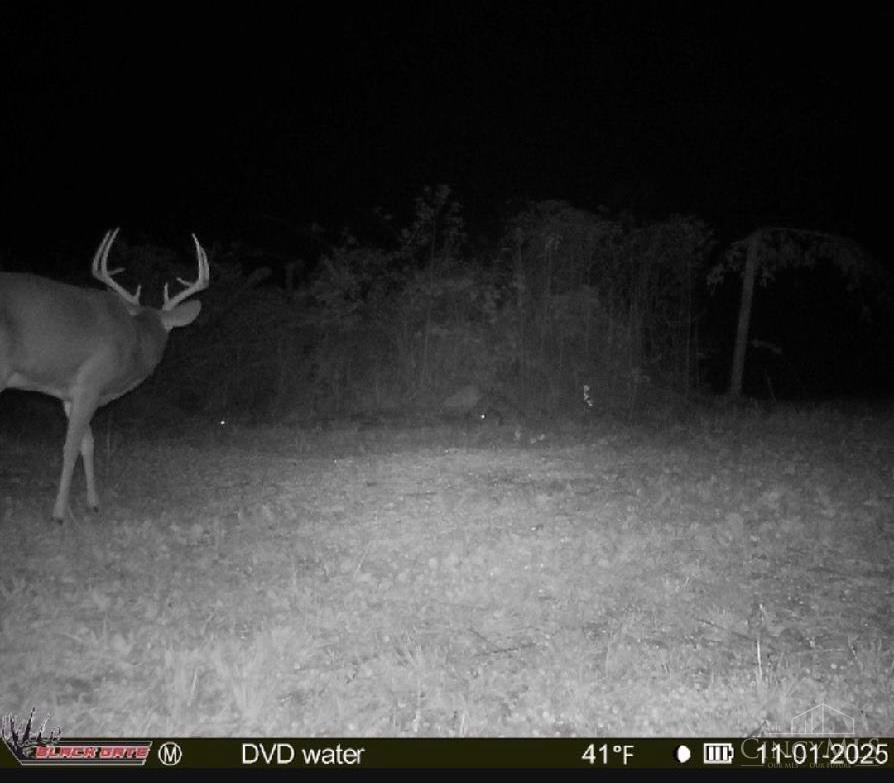 A Enley Road McDermott, OH 45652 - Photo 56 of 97